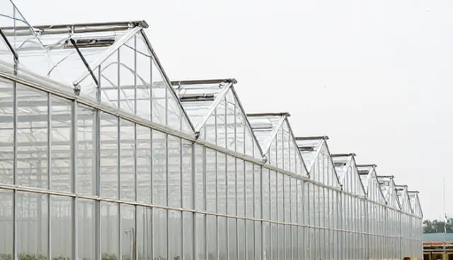 连栋温室使用与维护的实用建议